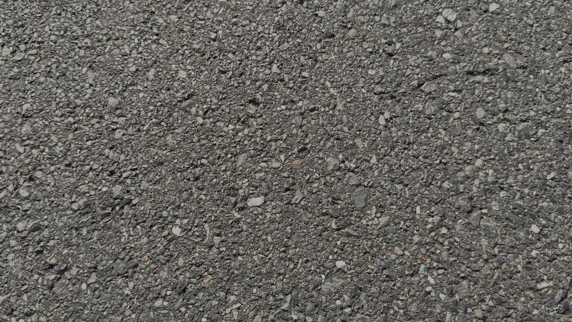 動画を読み込む: 